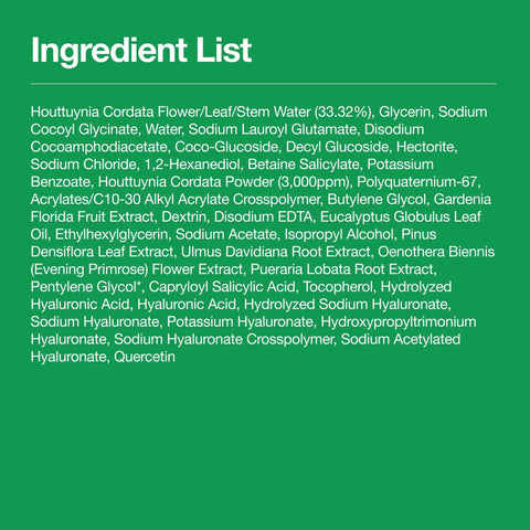 Heartleaf Quercetinol Pore Deep Cleansing Foam